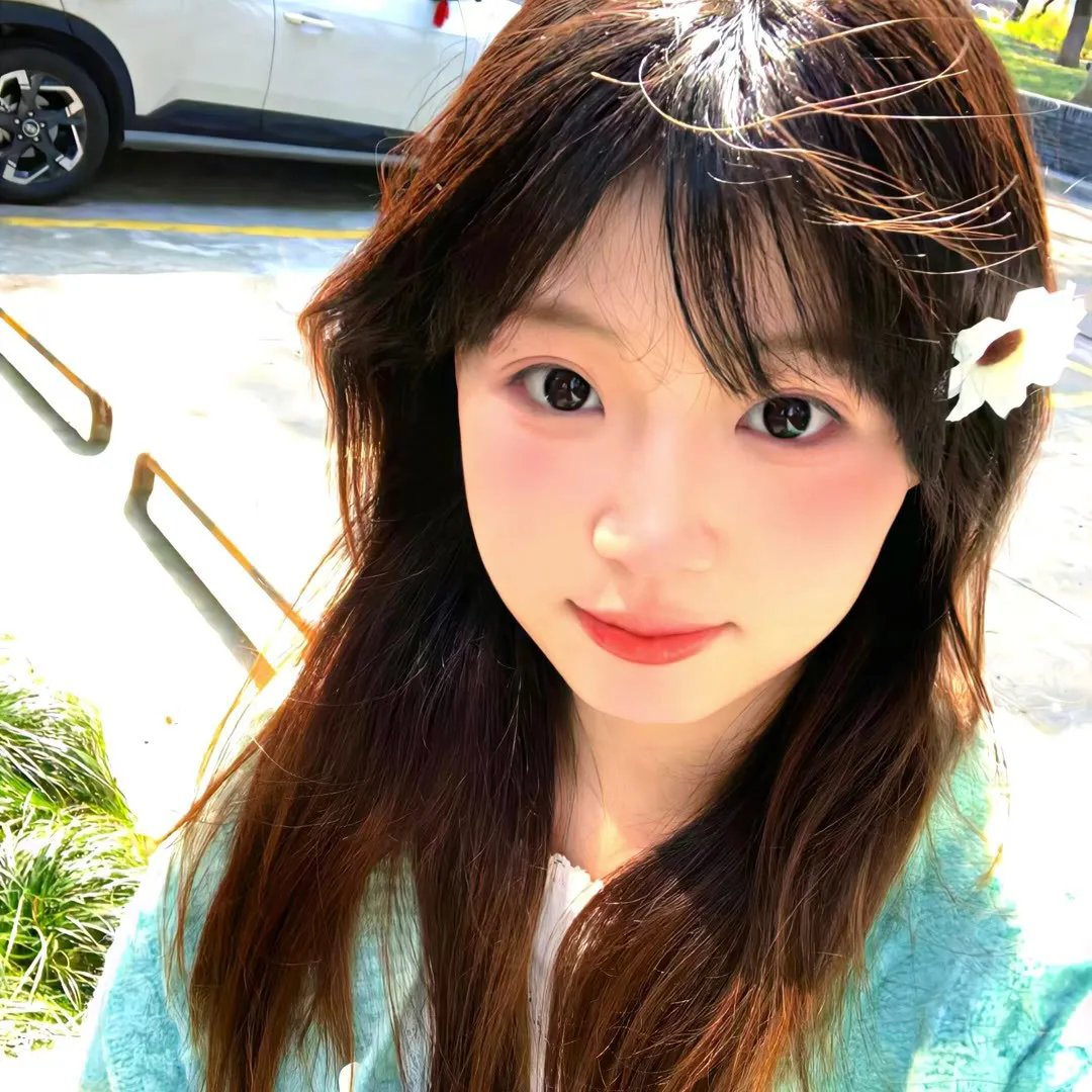 奇奇与蒂蒂 在线观看
